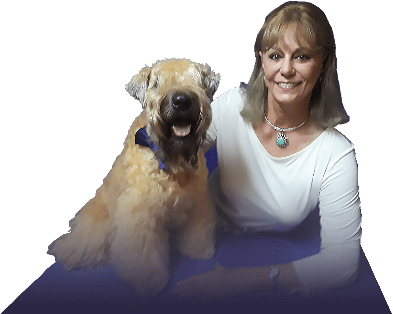 Header Pet Paw & Nail Maintenance Products